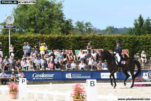 CDI3* Deauville (FRA): Rang 4 für West Side Story