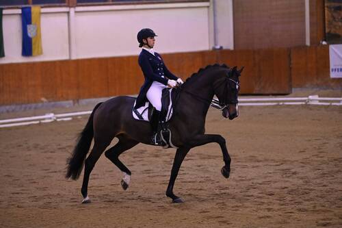 IMG-20191124_Estelle Wettstein und GREAT ESCAPE CAMELOT am CDN Weikersdorf 2019