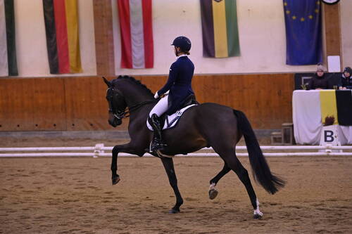 IMG-20191124_Estelle Wettstein und GREAT ESCAPE CAMELOT am CDN Weikersdorf 2019_2