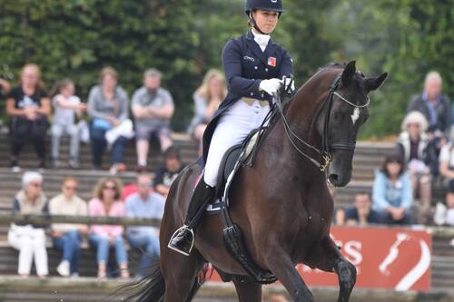 Description de l'image