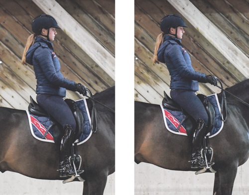 Aus dem korrekten Halt holt sich Estelle Wettstein die Aufmerksamkeit des Pferdes, indem sie sich deutlich aufrichtet. Daraus erfolgt das Rückwärtsrichten. Fotos: Anna Stuppia