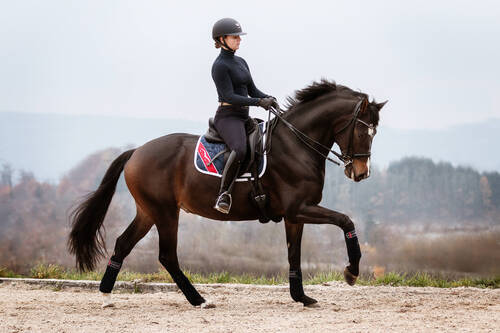 Image Great Escape Camelot