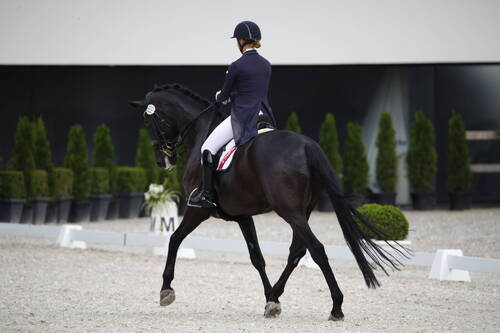 Image Friedrich Der Grosse